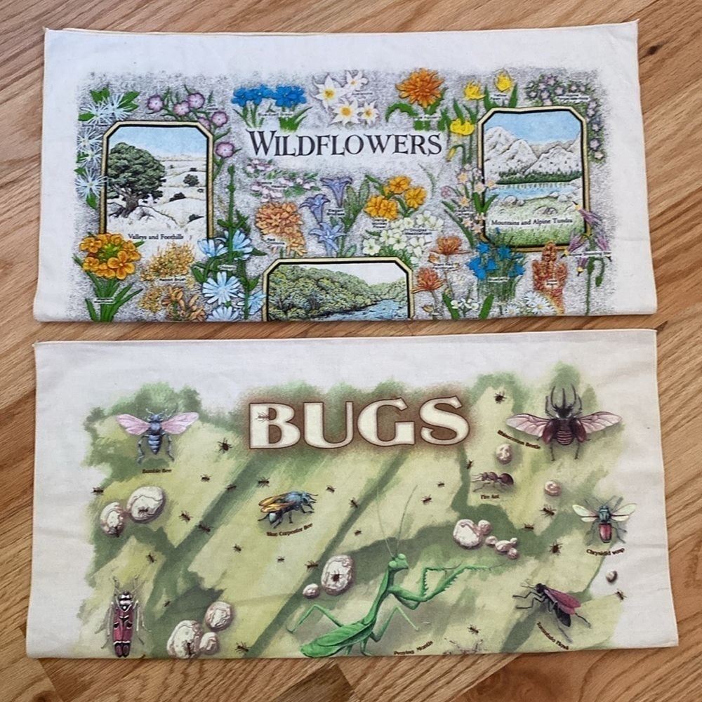 Nature Facts Wildflowers & Bugs Bandanas handkerchief Made in USA Cotton Novelty